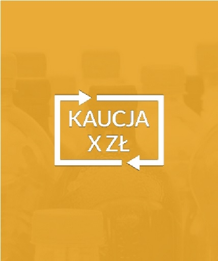 SYSTEM KAUCYJNY